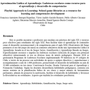 Aproximación Lúdica al Aprendizaje: Ludotecas escolares como recurso para  el aprendizaje y desarrollo de competencias
